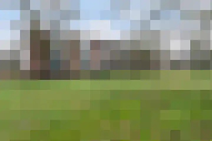 Germanenlaan 106 Apeldoorn thumbnail 32