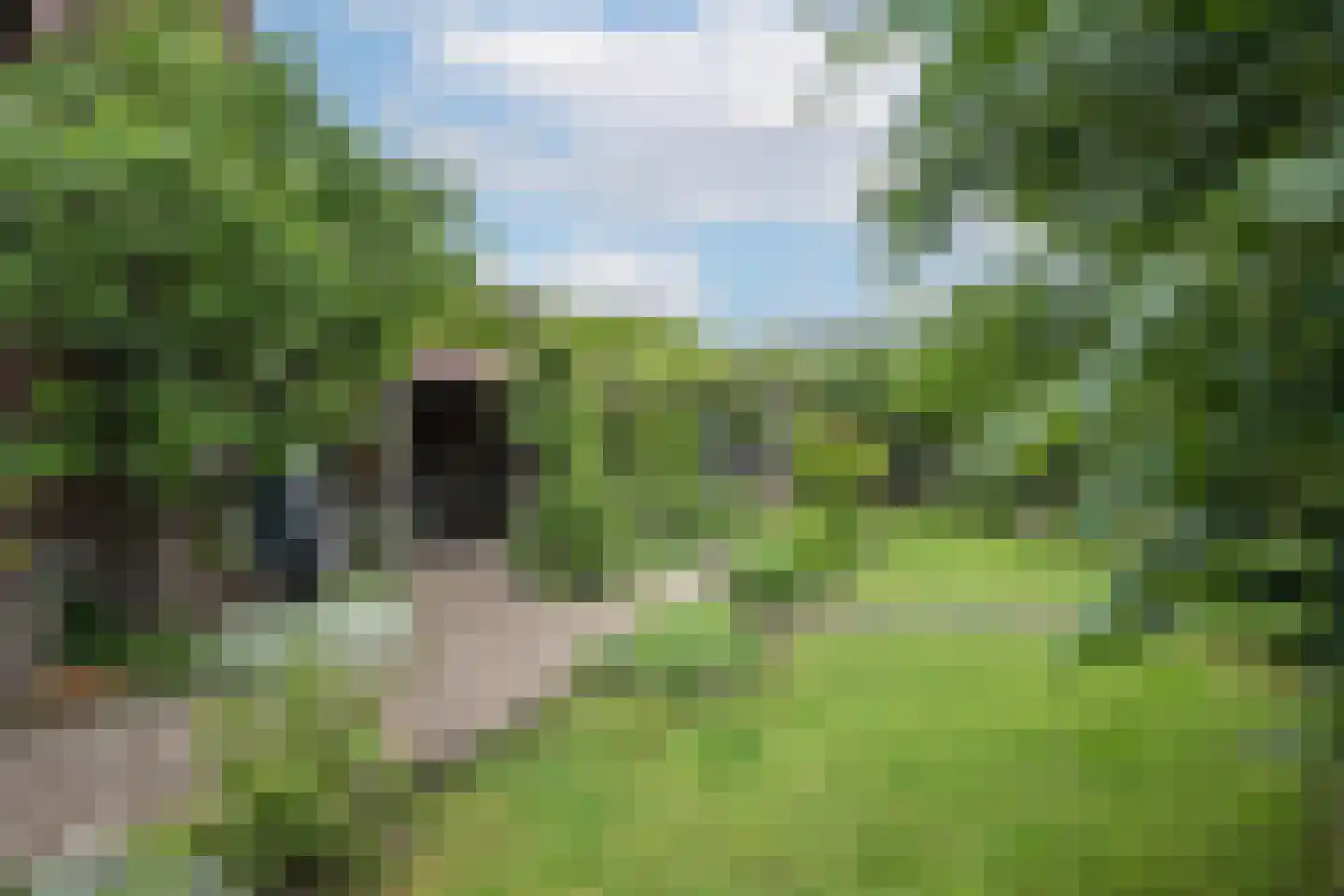 Germanenlaan 13 Apeldoorn thumbnail 14
