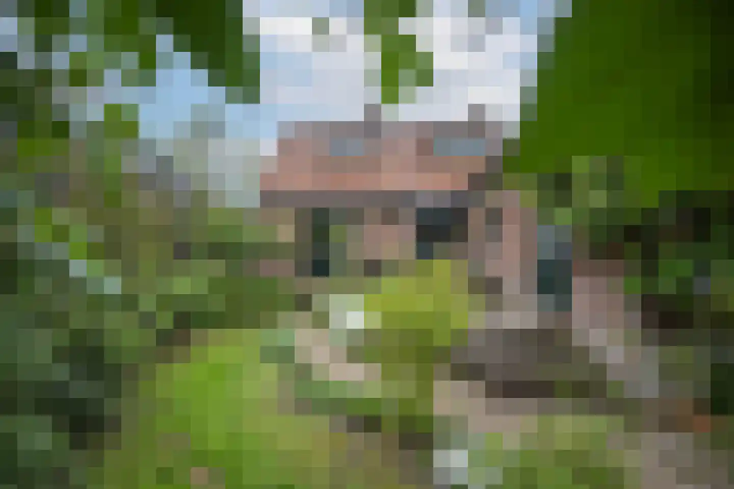 Germanenlaan 13 Apeldoorn thumbnail 15