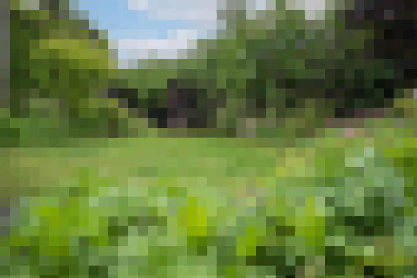 Germanenlaan 13 Apeldoorn thumbnail 16