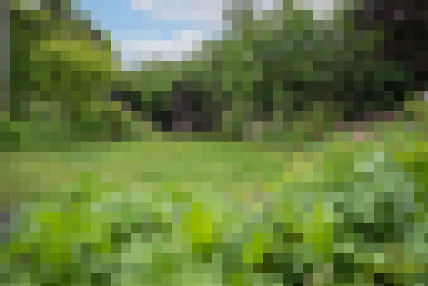 Germanenlaan 13 Apeldoorn thumbnail 16