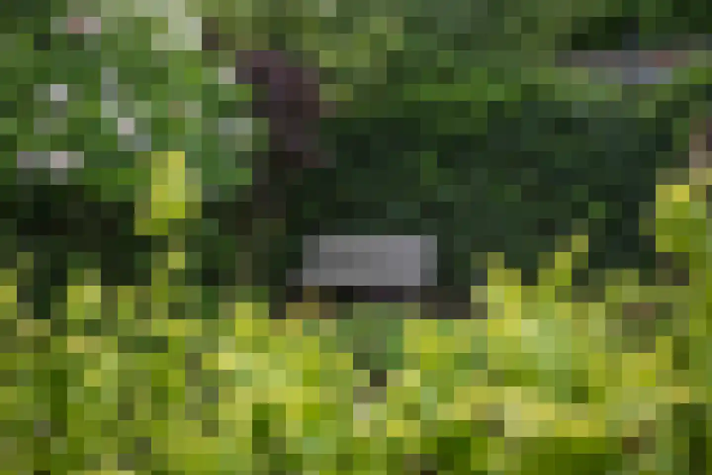 Germanenlaan 13 Apeldoorn thumbnail 21