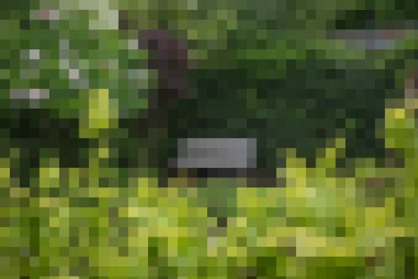 Germanenlaan 13 Apeldoorn thumbnail 21