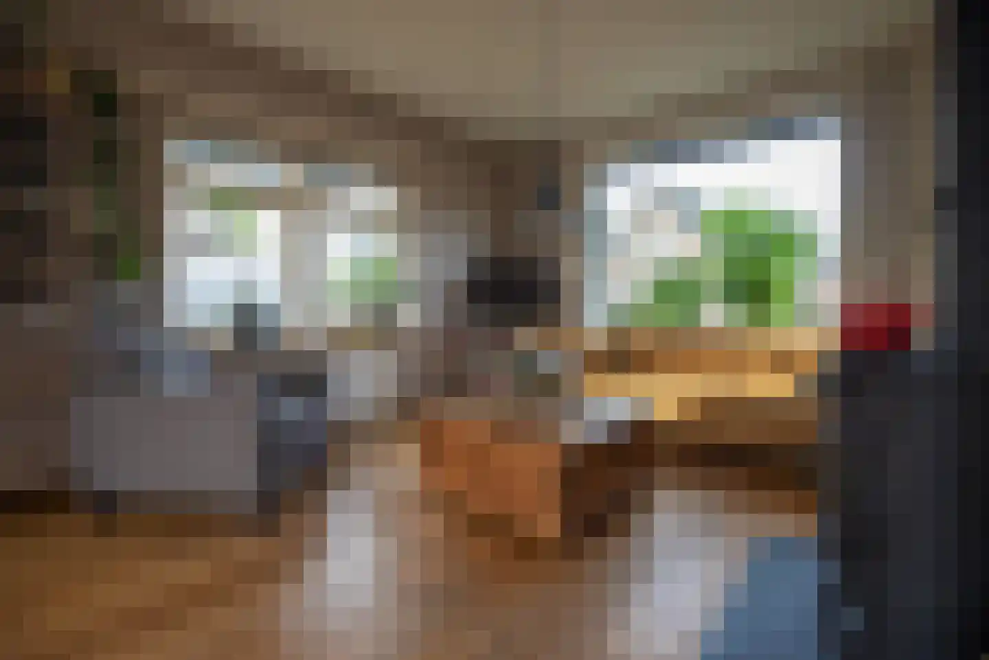 Germanenlaan 13 Apeldoorn thumbnail 22
