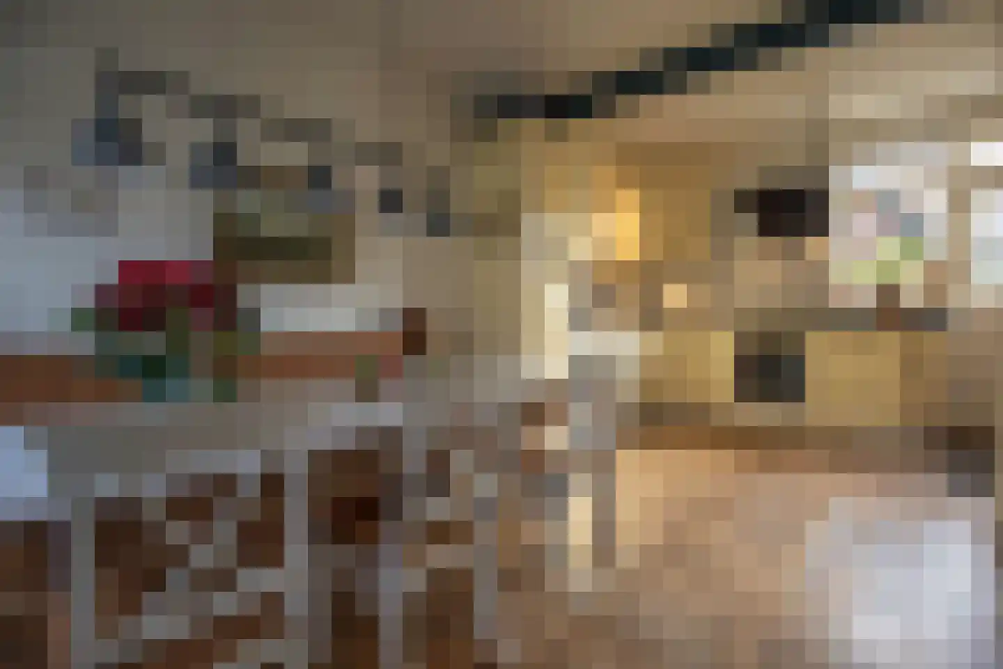 Germanenlaan 13 Apeldoorn thumbnail 25