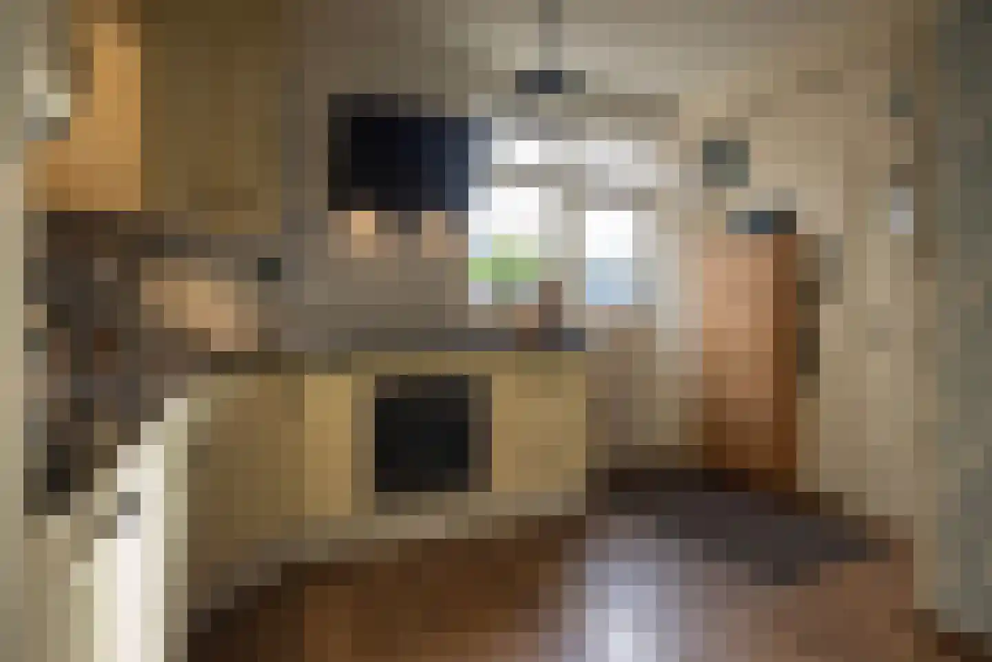Germanenlaan 13 Apeldoorn thumbnail 27