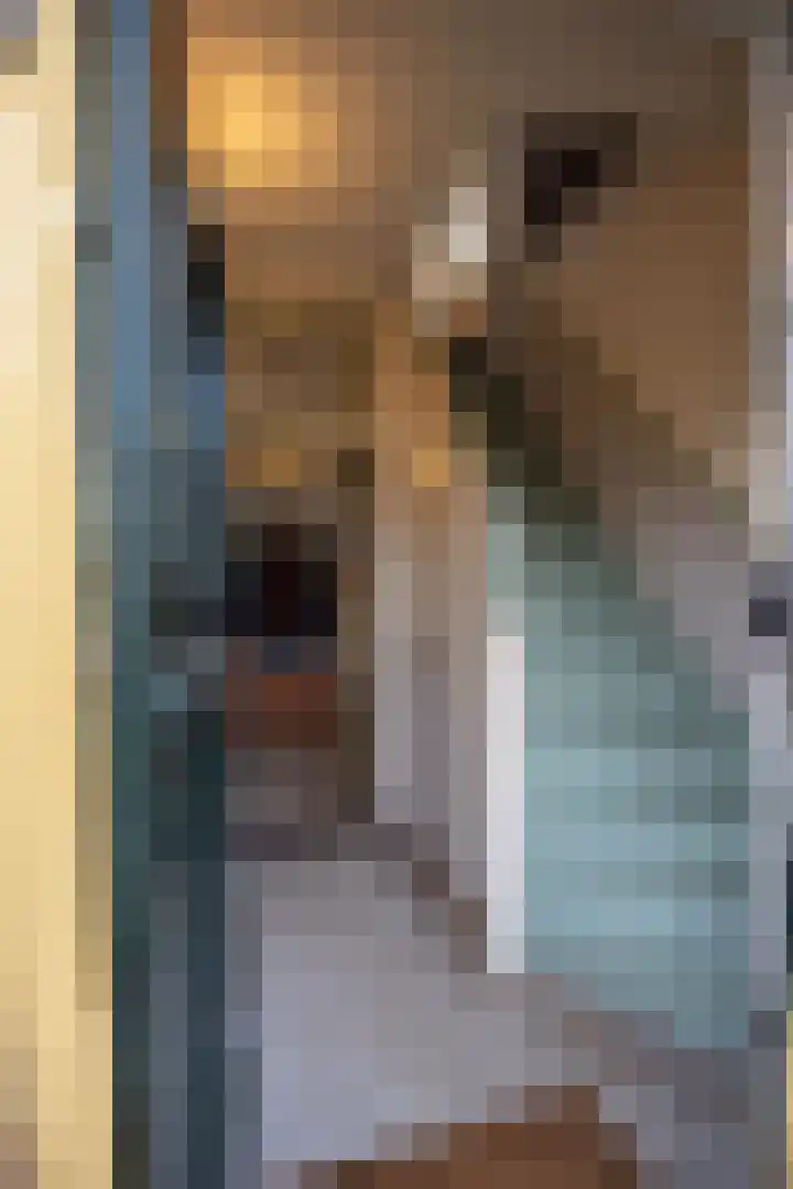 Germanenlaan 13 Apeldoorn thumbnail 28