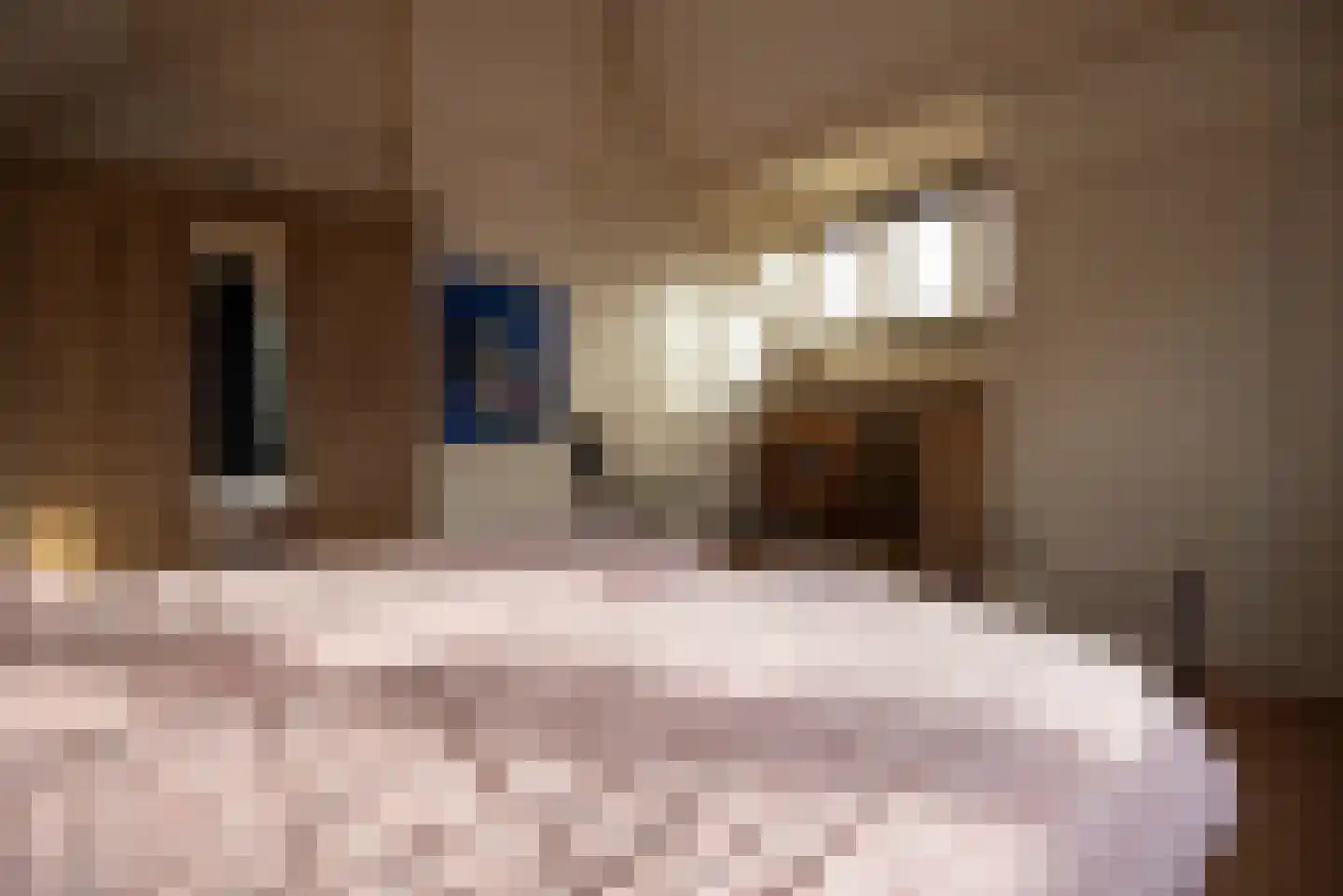 Germanenlaan 13 Apeldoorn thumbnail 31