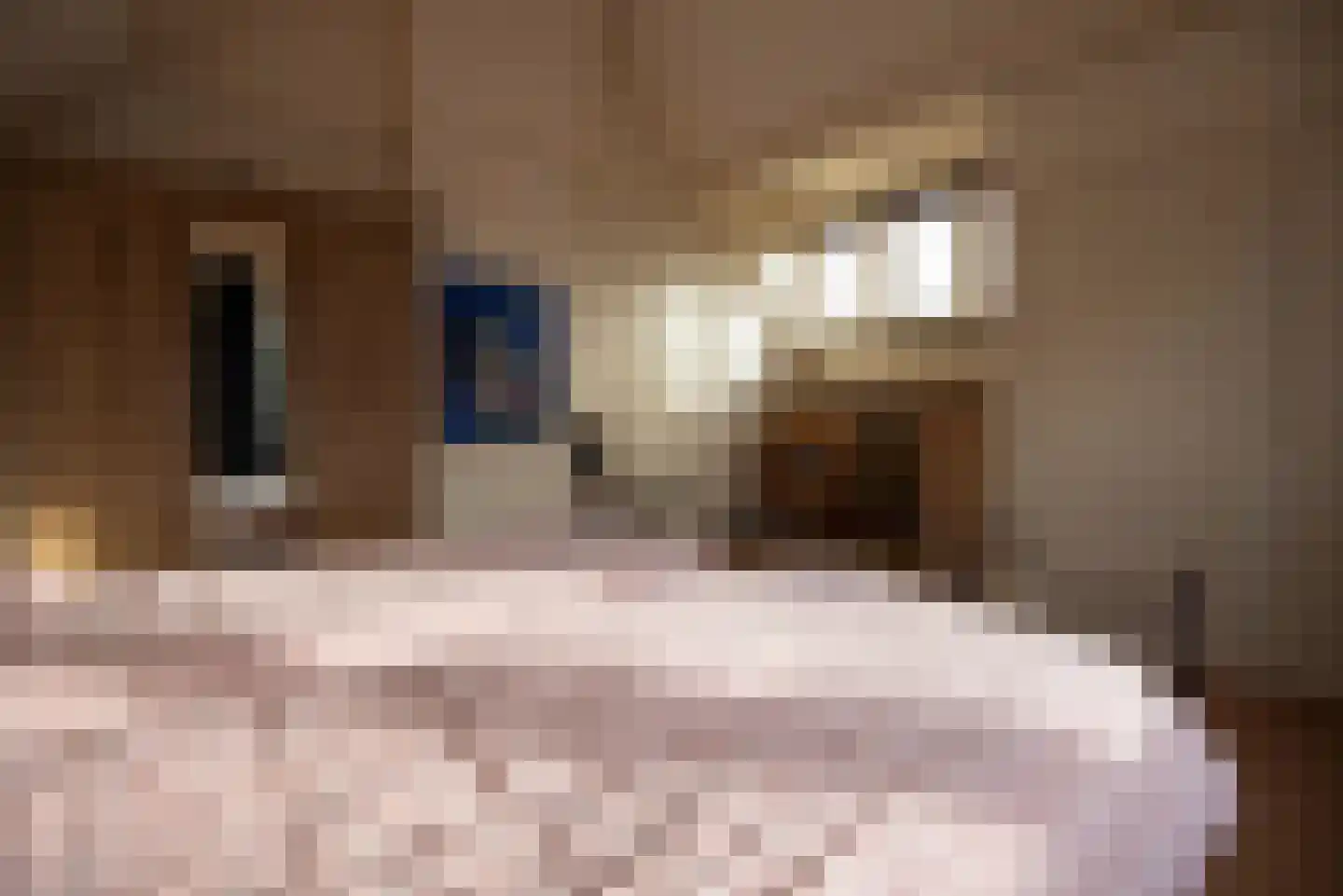 Germanenlaan 13 Apeldoorn thumbnail 31