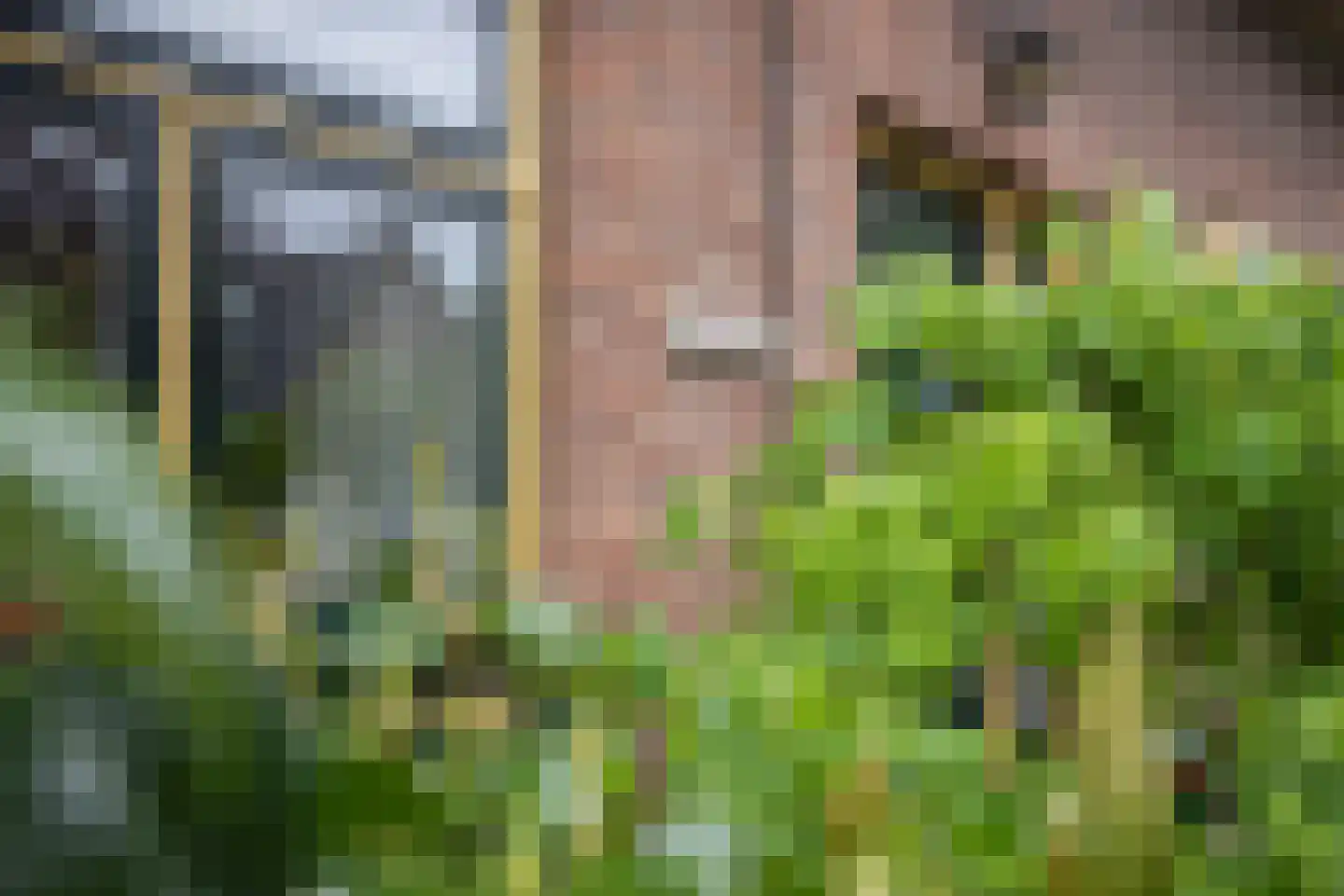 Germanenlaan 13 Apeldoorn thumbnail 4