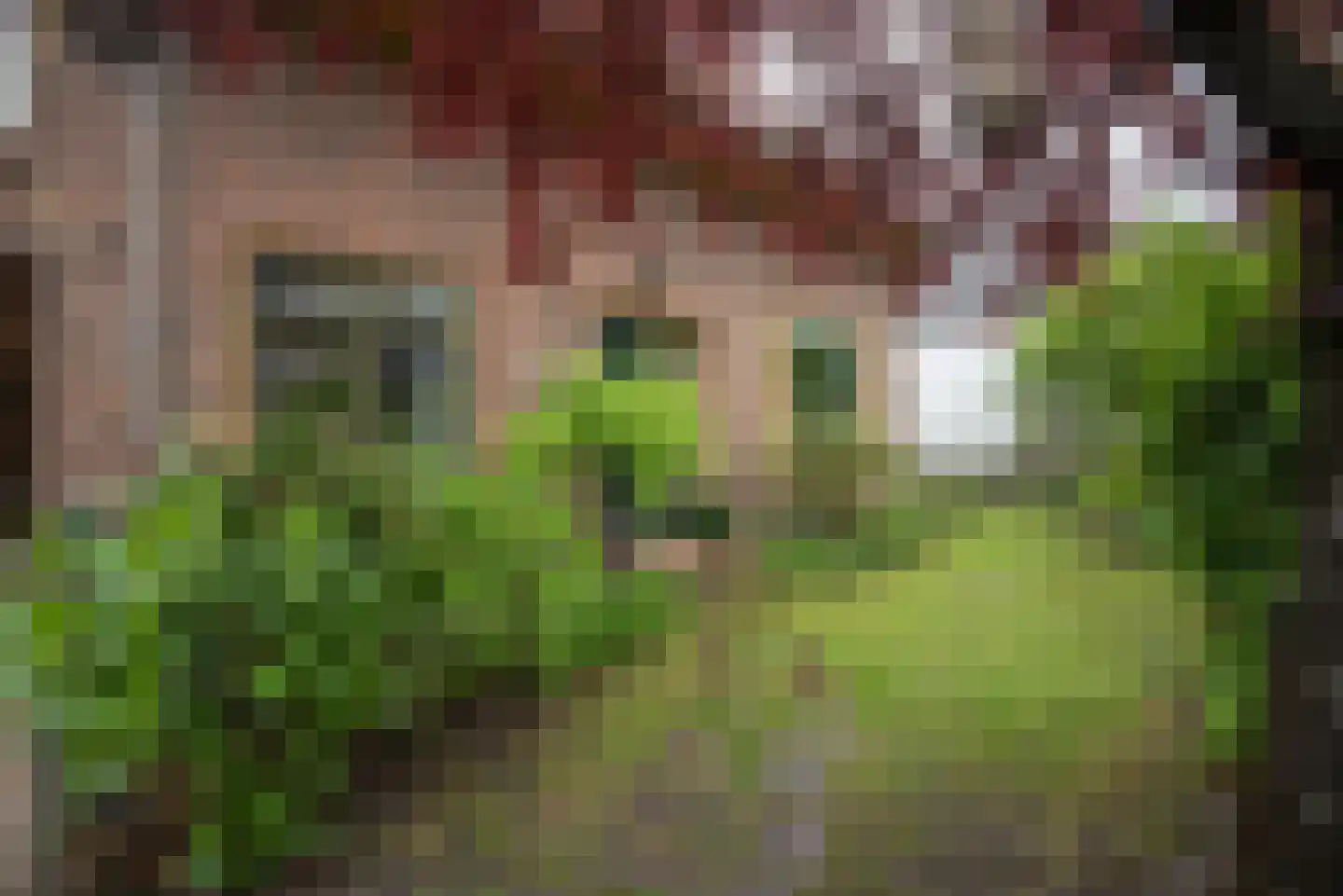Germanenlaan 13 Apeldoorn thumbnail 6