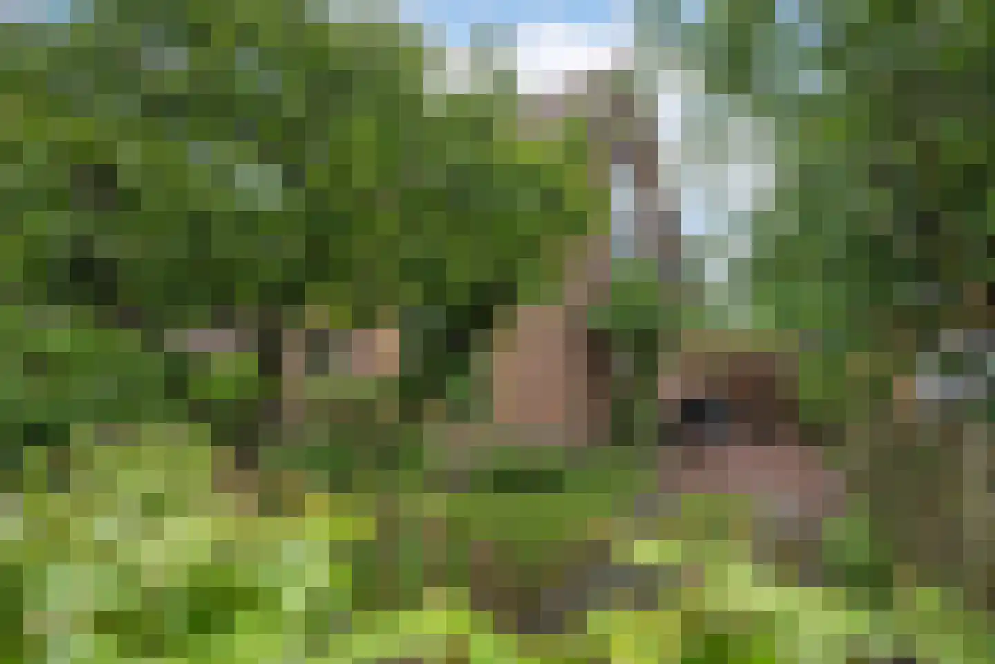 Germanenlaan 13 Apeldoorn thumbnail 7