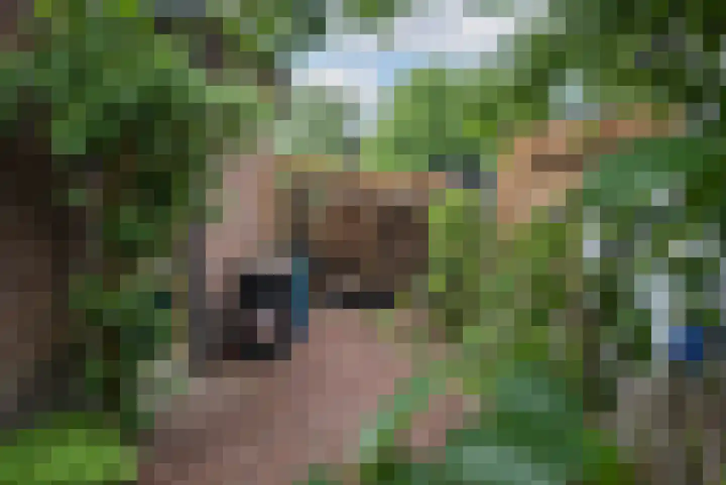 Germanenlaan 13 Apeldoorn thumbnail 8