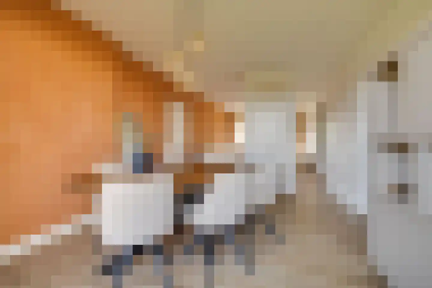 Germanenlaan 132 Apeldoorn thumbnail 12