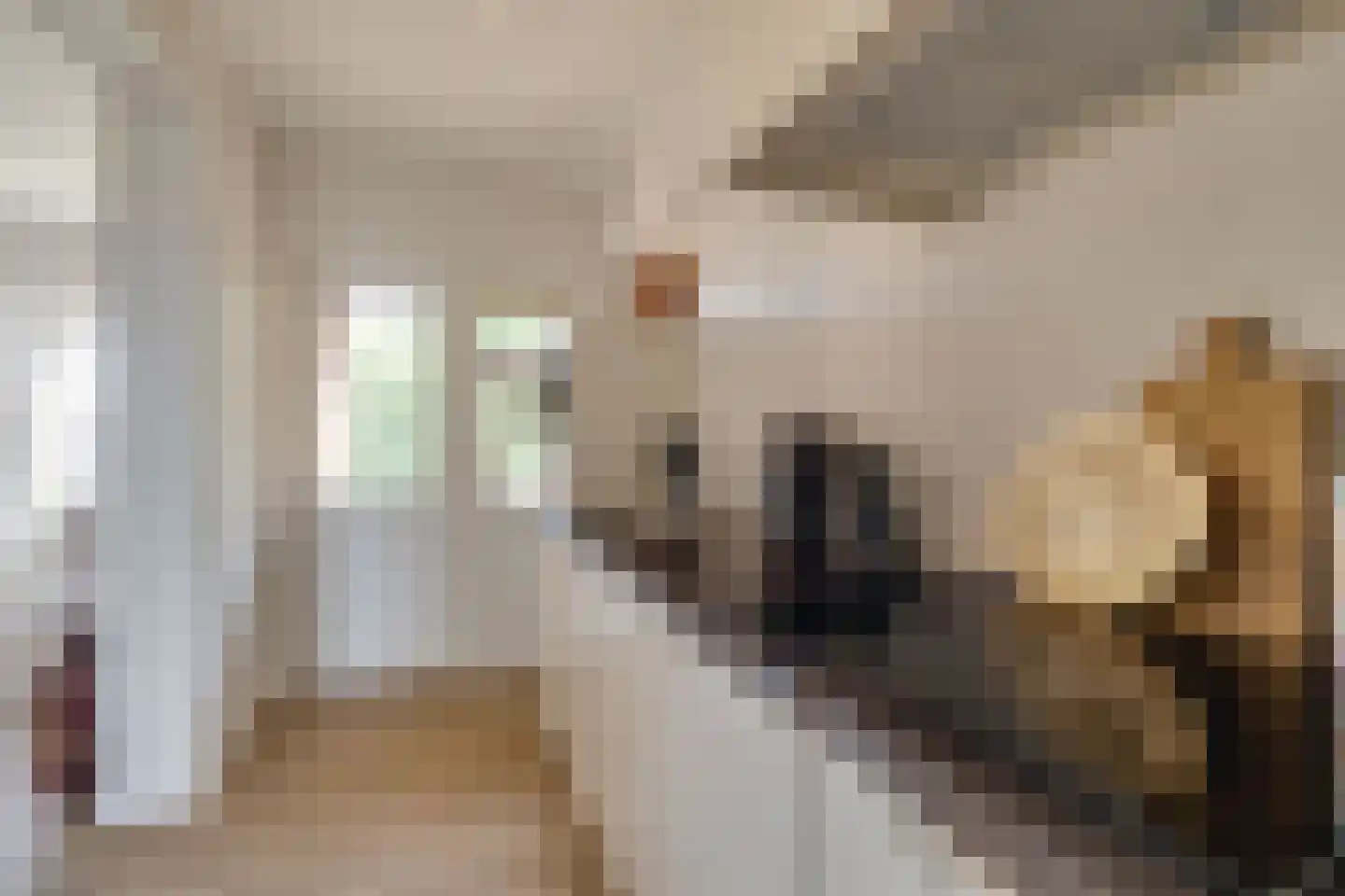 Germanenlaan 132 Apeldoorn thumbnail 8