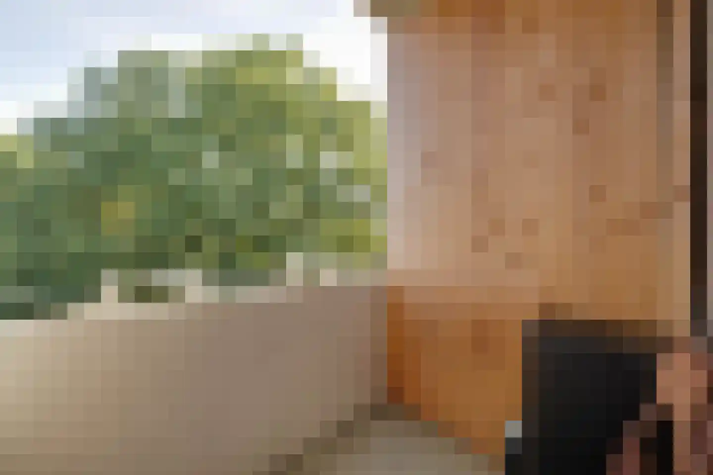 Germanenlaan 132 Apeldoorn thumbnail 9