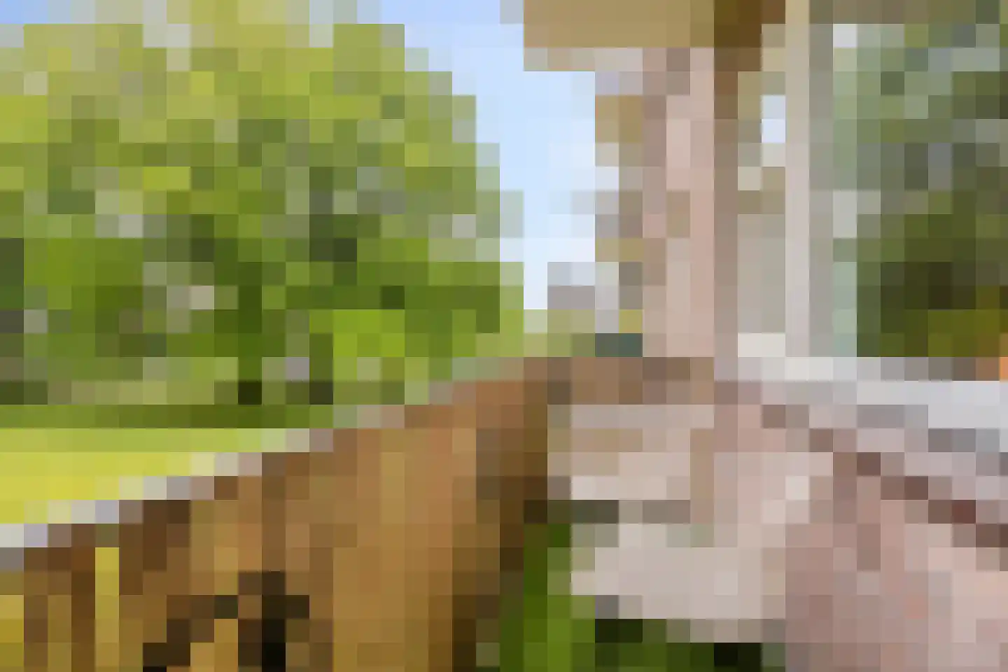 Germanenlaan 136 Apeldoorn thumbnail 15