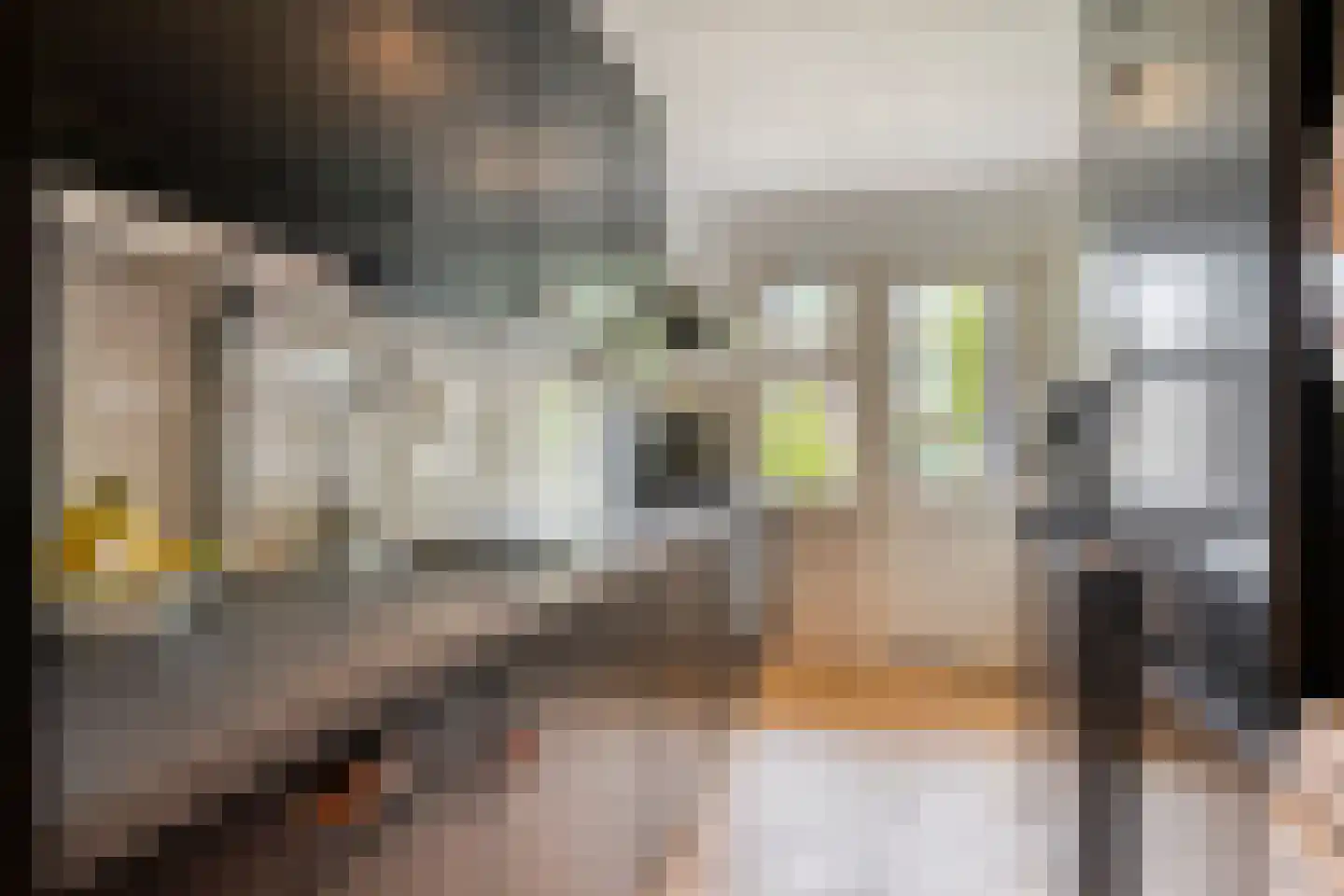 Germanenlaan 136 Apeldoorn thumbnail 17