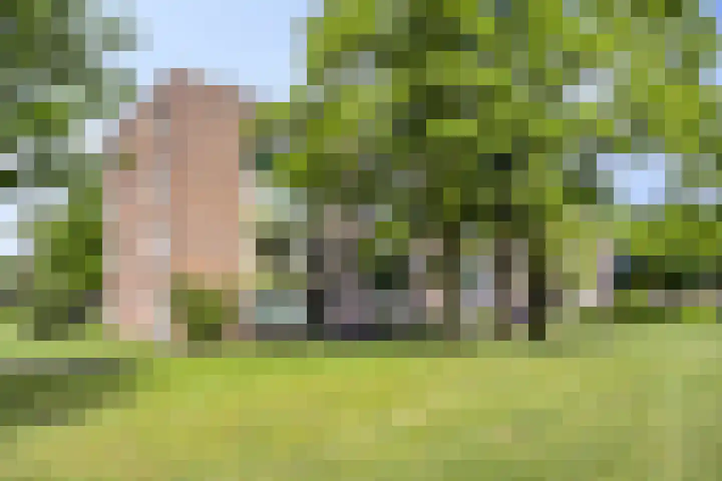 Germanenlaan 136 Apeldoorn thumbnail 32