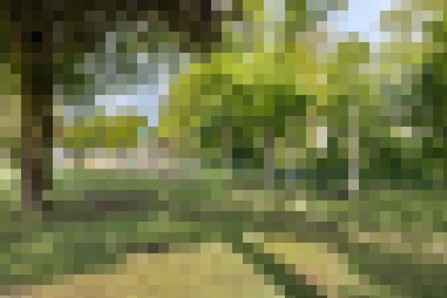 Germanenlaan 136 Apeldoorn thumbnail 36
