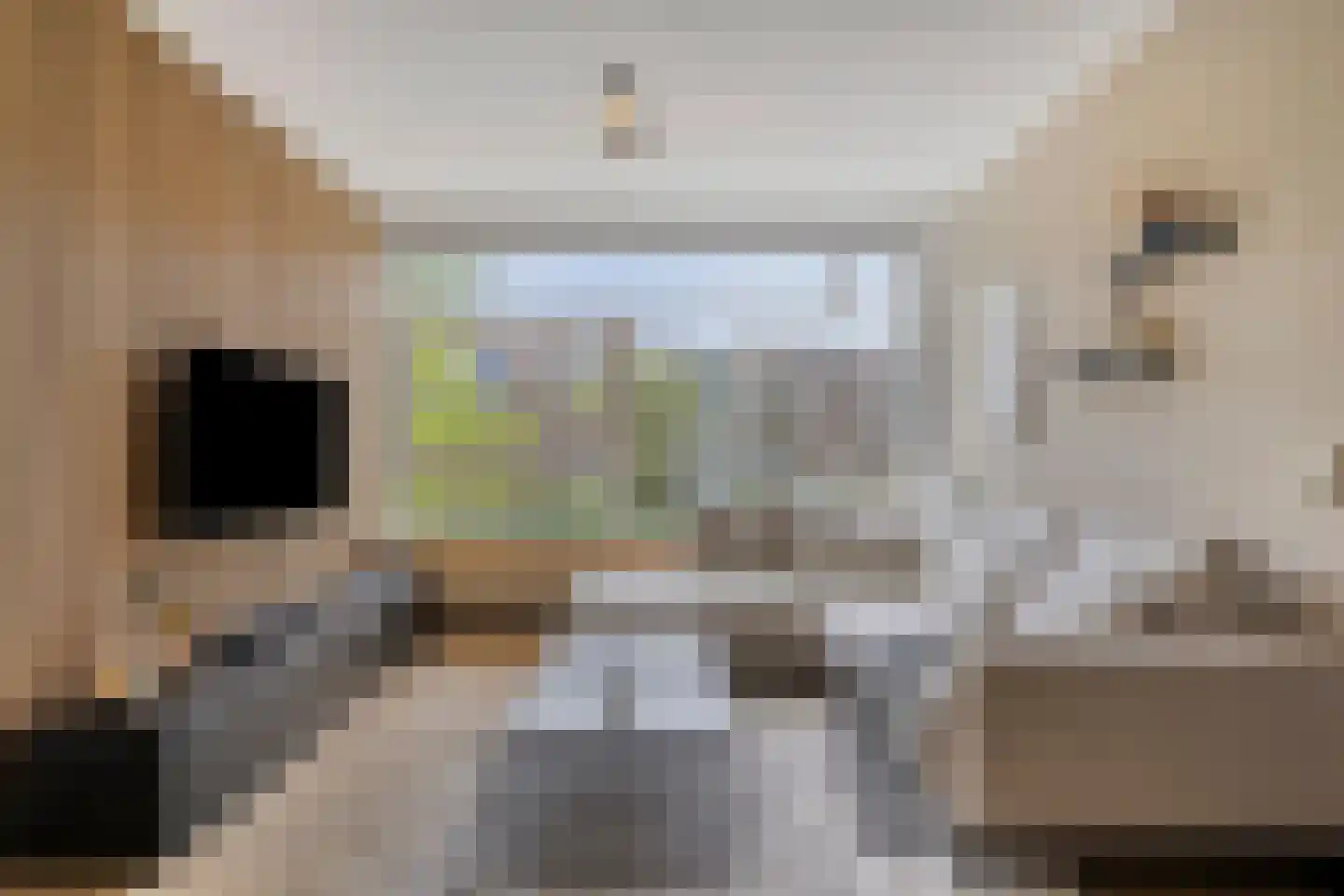 Germanenlaan 136 Apeldoorn thumbnail 7