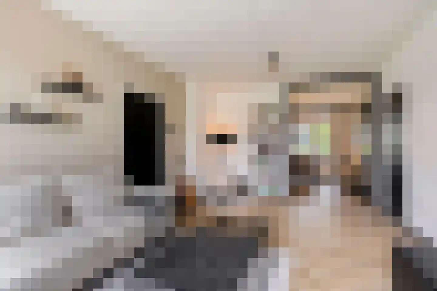 Germanenlaan 136 Apeldoorn thumbnail 8