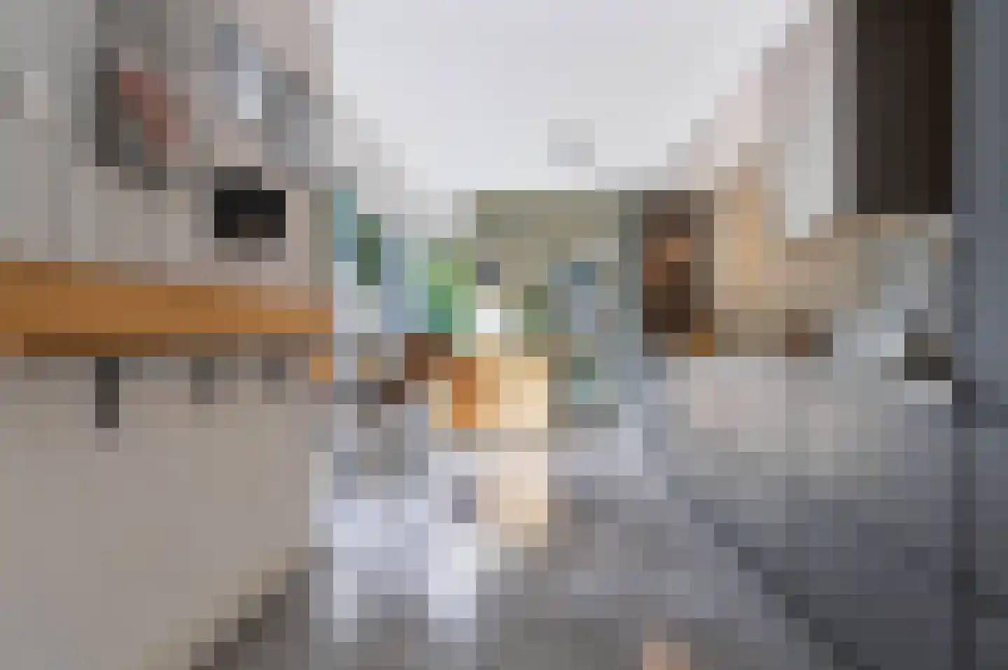 Germanenlaan 16 Apeldoorn thumbnail 18