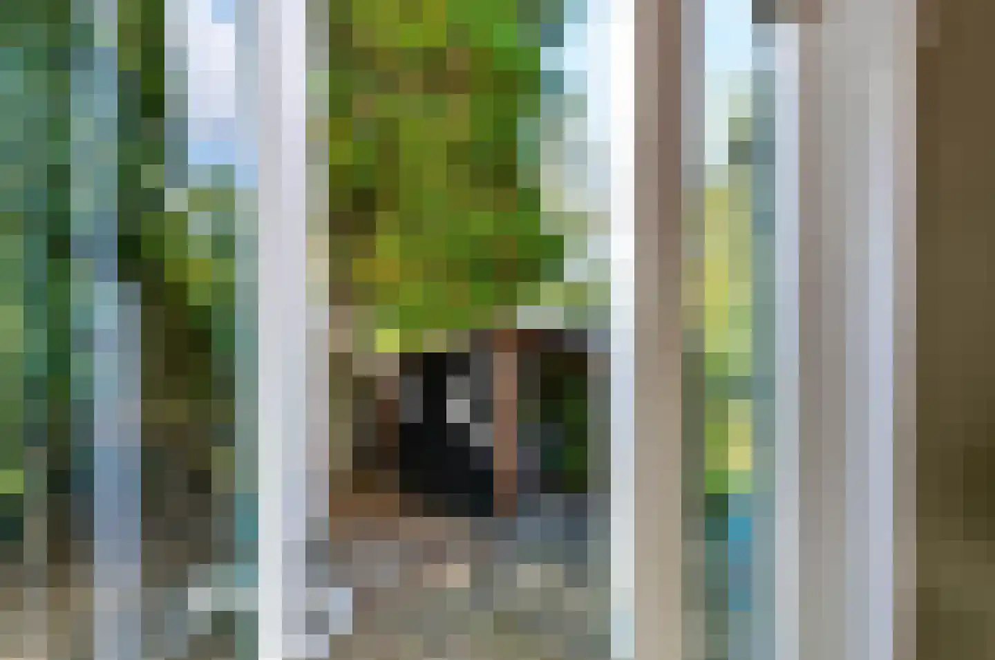 Germanenlaan 16 Apeldoorn thumbnail 25