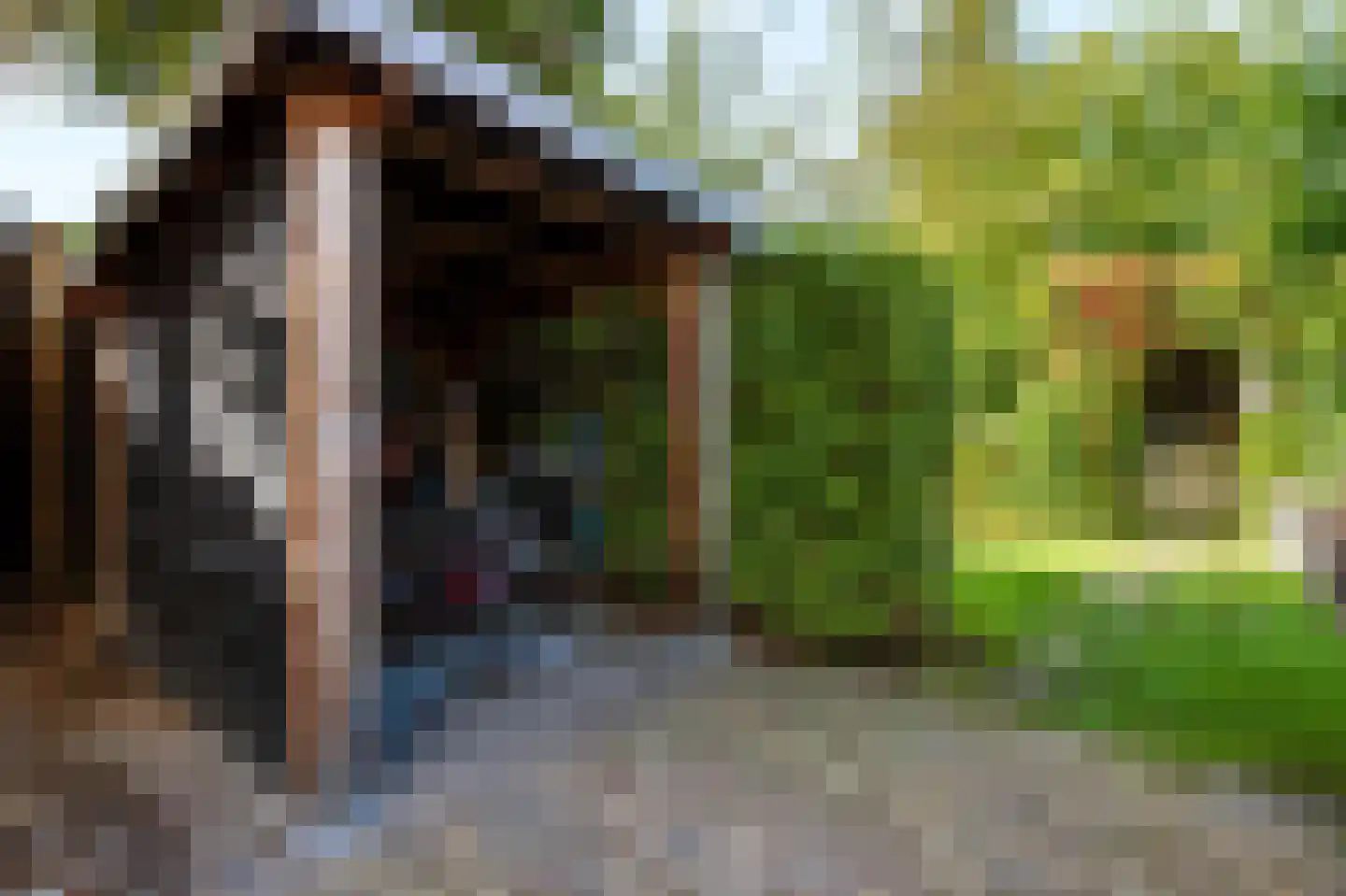 Germanenlaan 16 Apeldoorn thumbnail 29