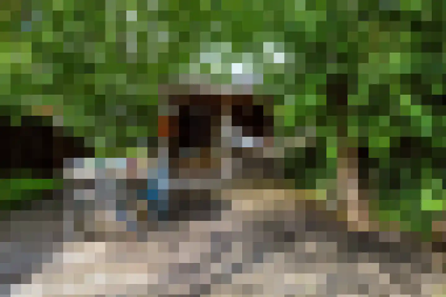 Germanenlaan 16 Apeldoorn thumbnail 31