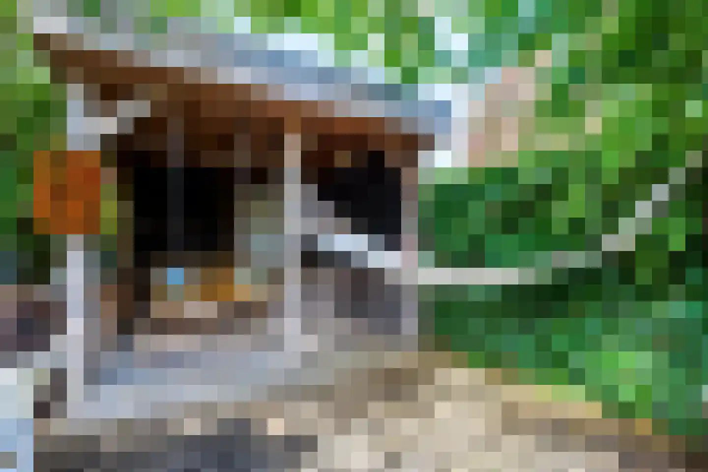 Germanenlaan 16 Apeldoorn thumbnail 33