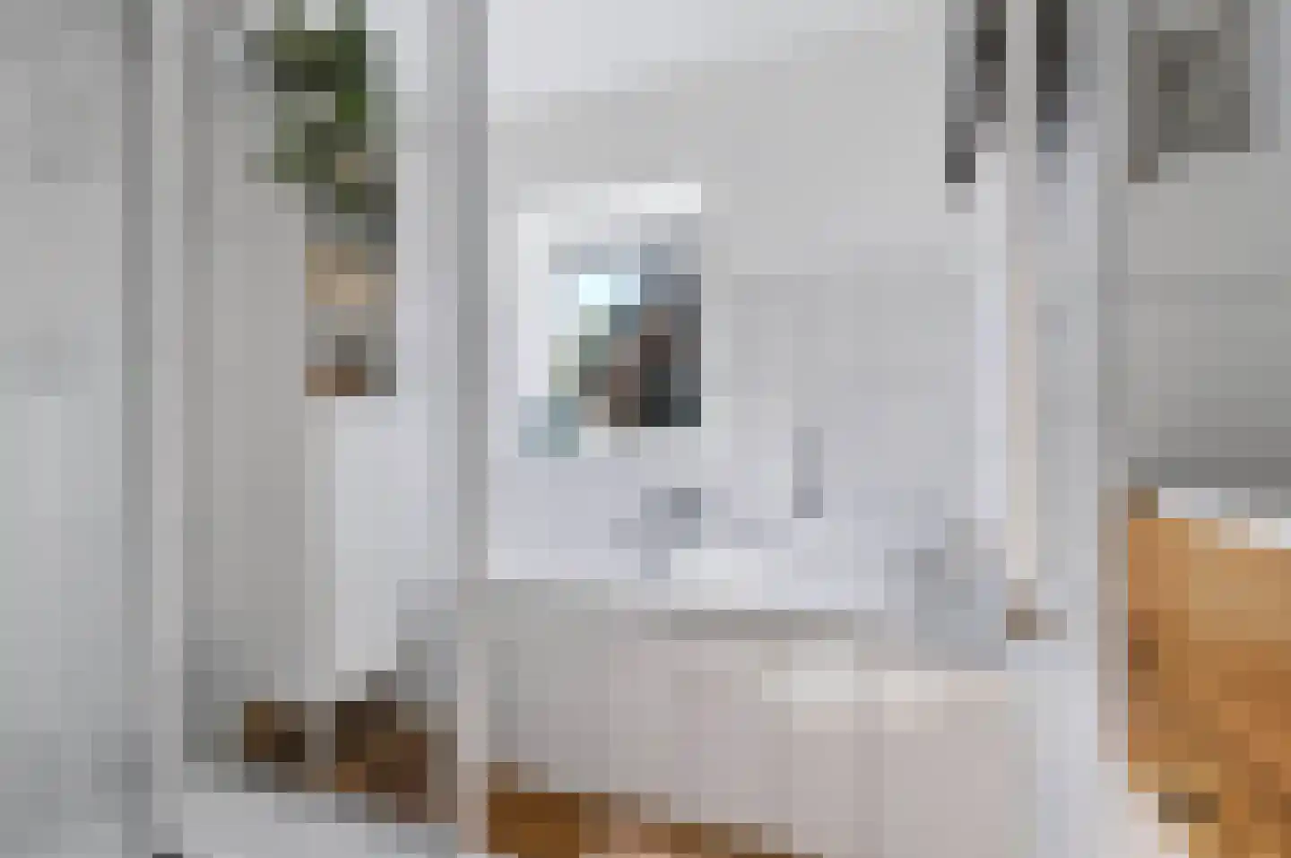 Germanenlaan 16 Apeldoorn thumbnail 38