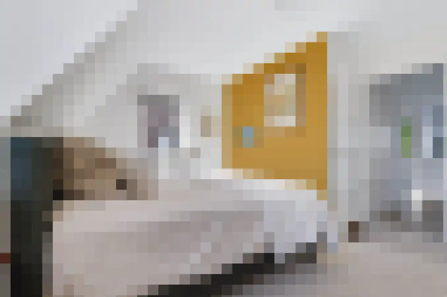 Germanenlaan 16 Apeldoorn thumbnail 43