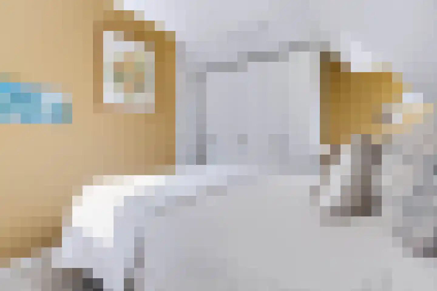 Germanenlaan 16 Apeldoorn thumbnail 44