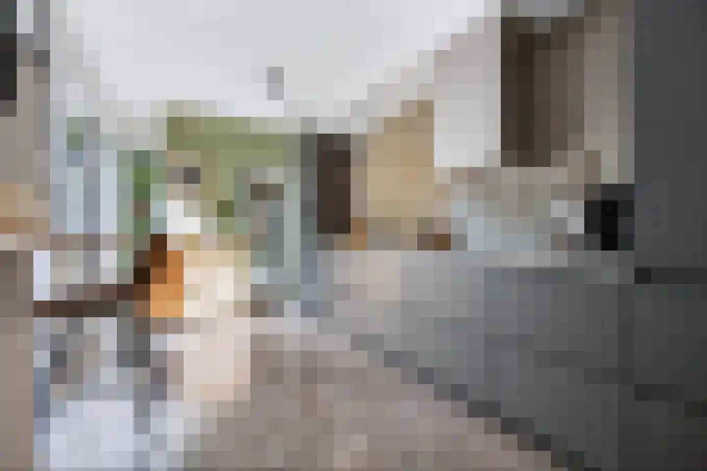 Germanenlaan 16 Apeldoorn thumbnail 6