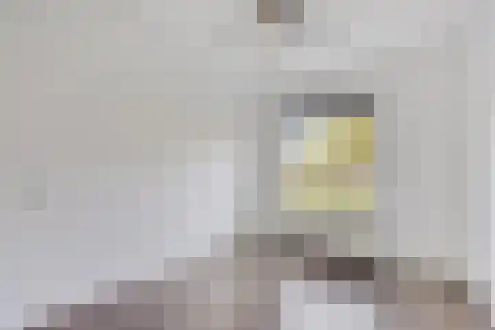 Germanenlaan 190 Apeldoorn thumbnail 10