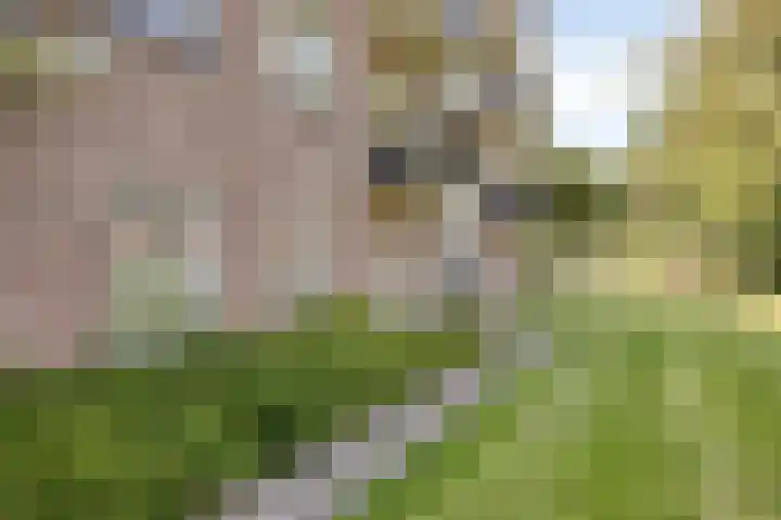 Germanenlaan 190 Apeldoorn thumbnail 16