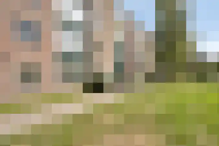 Germanenlaan 190 Apeldoorn thumbnail 17