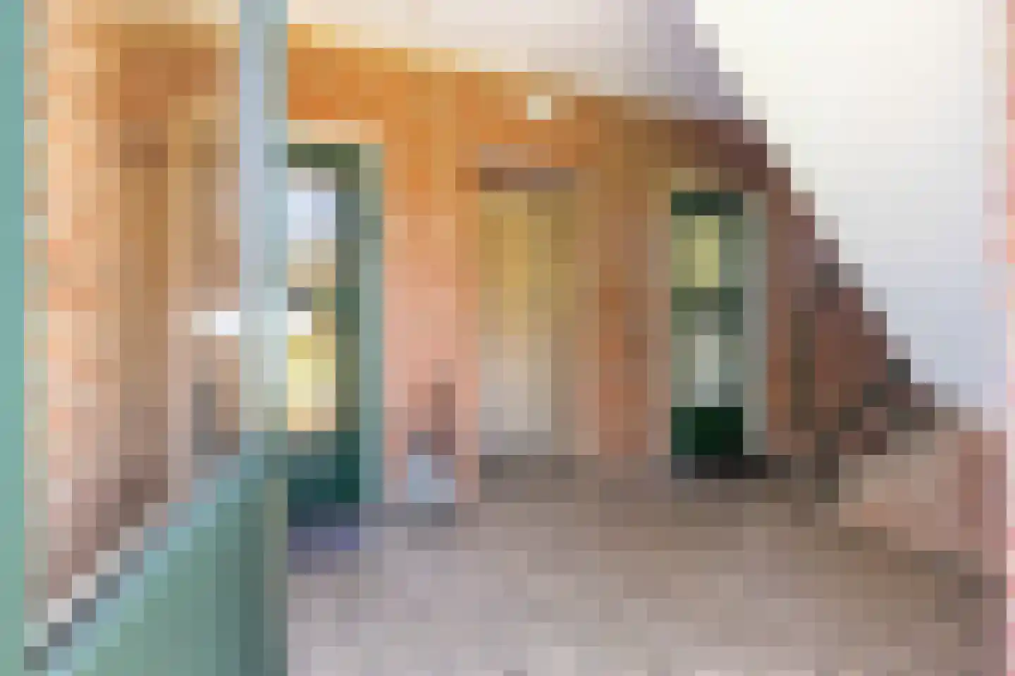 Germanenlaan 192 Apeldoorn thumbnail 27