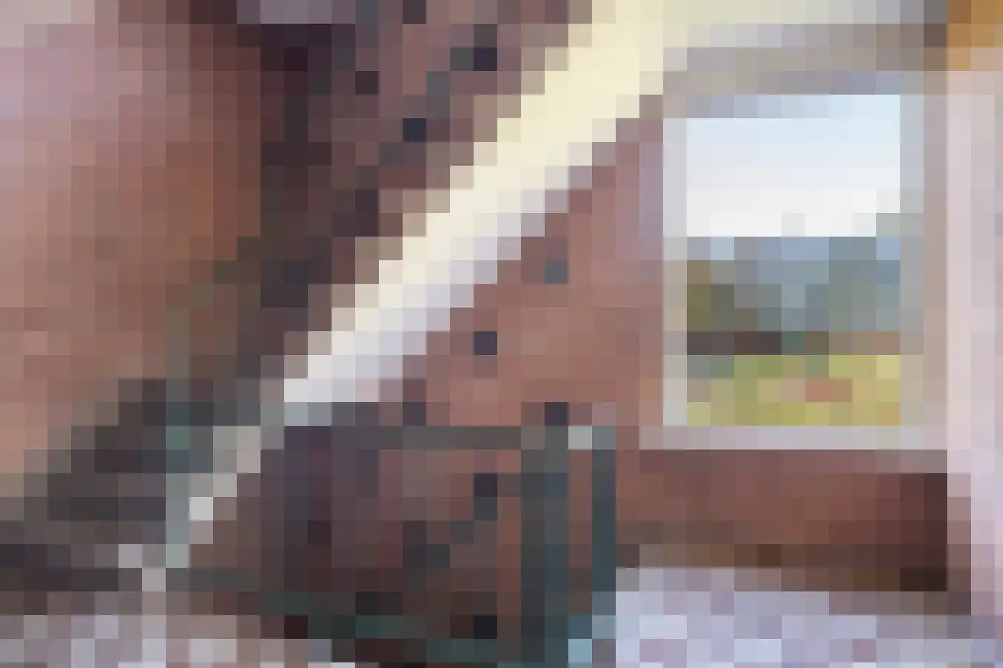 Germanenlaan 192 Apeldoorn thumbnail 29