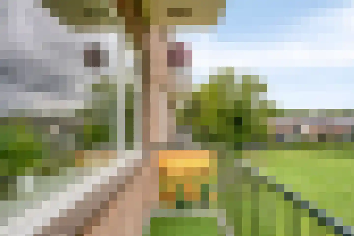 Germanenlaan 194 Apeldoorn thumbnail 12