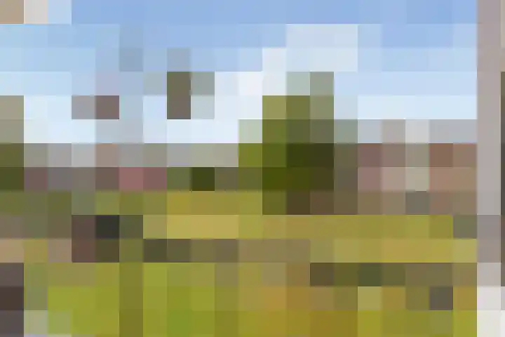 Germanenlaan 194 Apeldoorn thumbnail 15