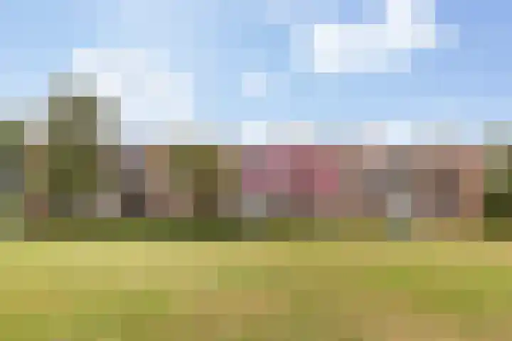 Germanenlaan 194 Apeldoorn thumbnail 19