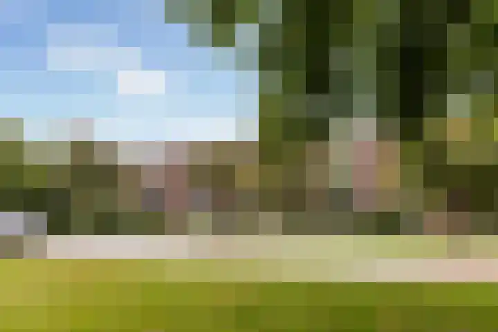 Germanenlaan 194 Apeldoorn thumbnail 21