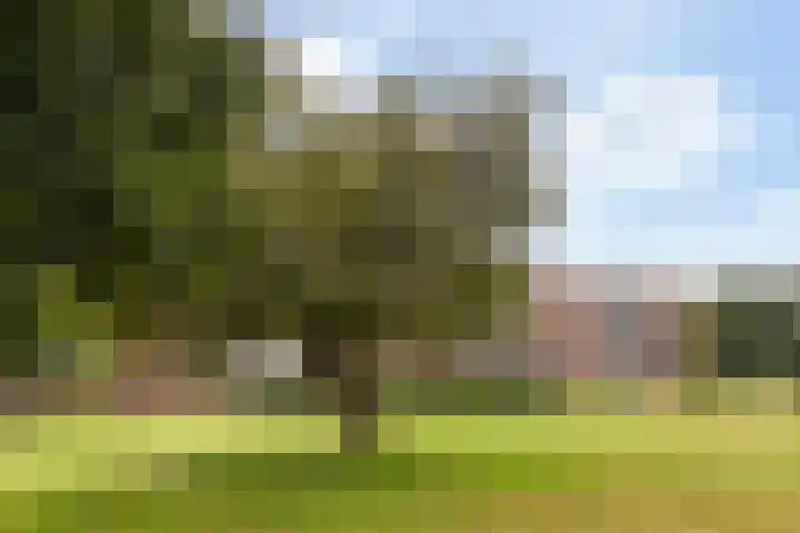 Germanenlaan 194 Apeldoorn thumbnail 23