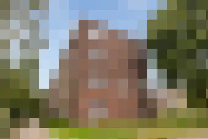 Germanenlaan 194 Apeldoorn thumbnail 24