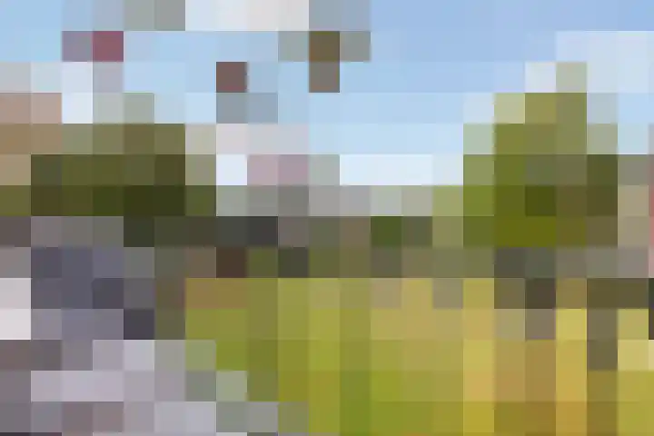 Germanenlaan 194 Apeldoorn thumbnail 5