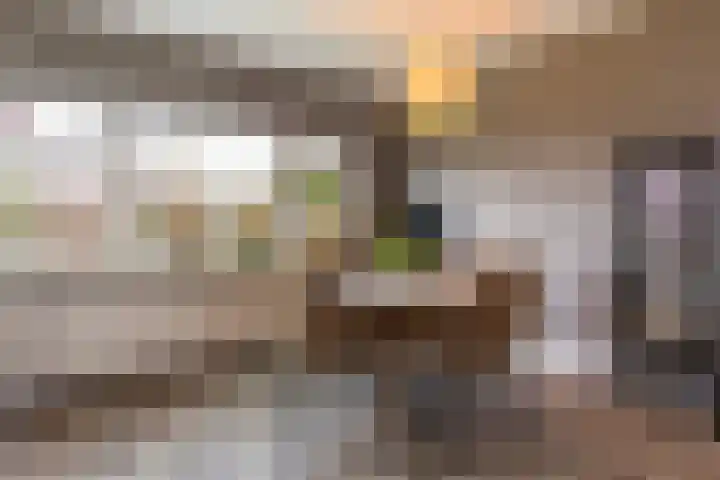 Germanenlaan 194 Apeldoorn thumbnail 8