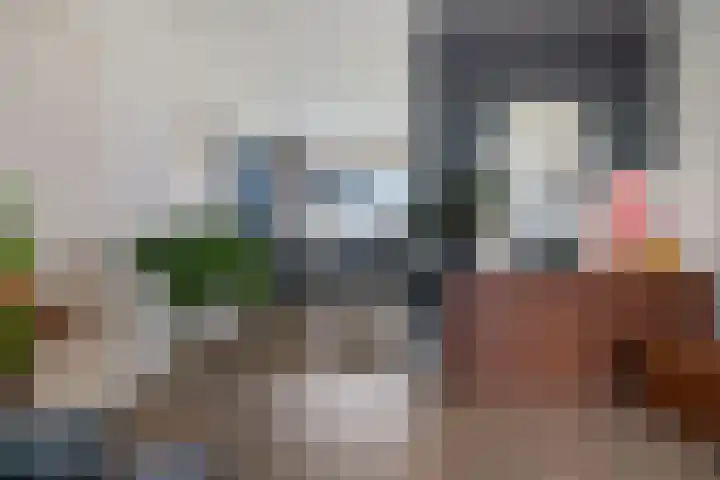 Germanenlaan 196 Apeldoorn thumbnail 13