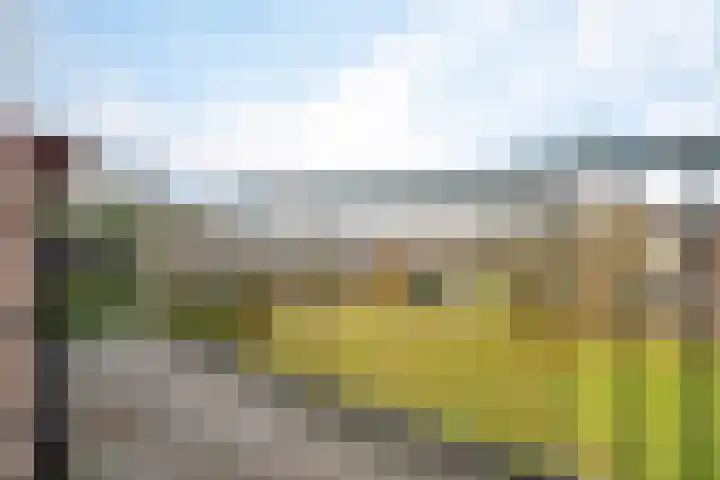 Germanenlaan 196 Apeldoorn thumbnail 18